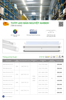 KINGLED 2025 Trang 47 KINGLED 2025 Trang 47