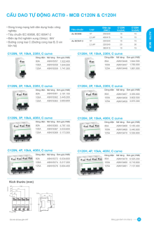 SCHNEIDER 01/2026 Trang 31