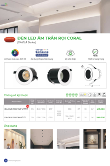 KINGLED 08-2025 Trang 13