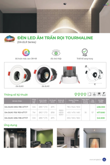 KINGLED 08-2025 Trang 14