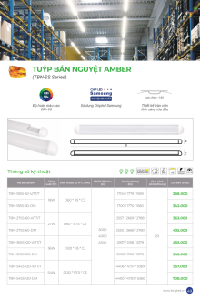 KINGLED 08-2025 Trang 48