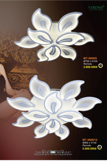 VERONA 2026 Trang 165