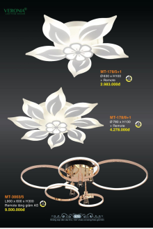 VERONA 2026 Trang 172