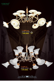 VERONA 2026 Trang 242