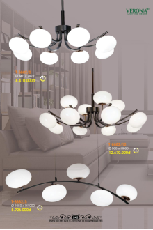 VERONA 2026 Trang 243