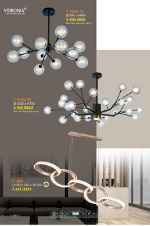 VERONA 2026 Trang 244