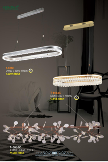 VERONA 2026 Trang 252