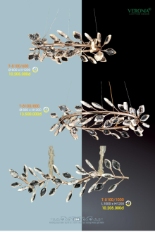 VERONA 2026 Trang 266