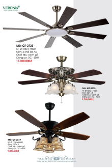 VERONA 2026 Trang 295