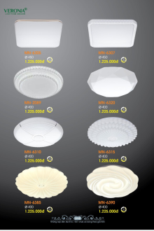 VERONA 2026 Trang 316