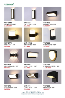 VERONA 2026 Trang 384