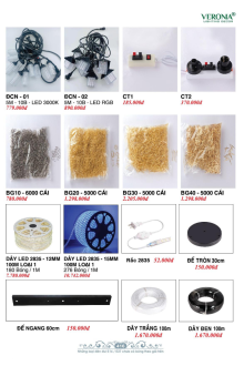 VERONA 2026 Trang 417