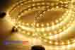 Dây led Dây led 5050