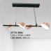 Đèn thả LED trang trí DTTK 25N4