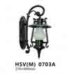 Đèn tường ngoại thất HSVM 0703A