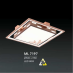Đèn áp trần Hàn Quốc ML 7197