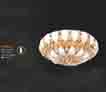 Áp trần pha lê Led tròn NC 8047A