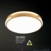 Đèn áp trần đồng OD 3093
