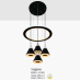 Đèn thả LED trang trí T 6207/4