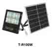 Đèn pha năng lượng LION T-R100W