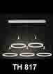 Đèn thả LED trang trí TH 817
