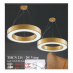 Đèn thả LED trang trí THCN 211-20